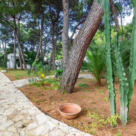 Iremar B1 - Myho Casa Apartment Vieste